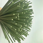 Zoom sur les batons d'encens Parfum Sauge Blanche