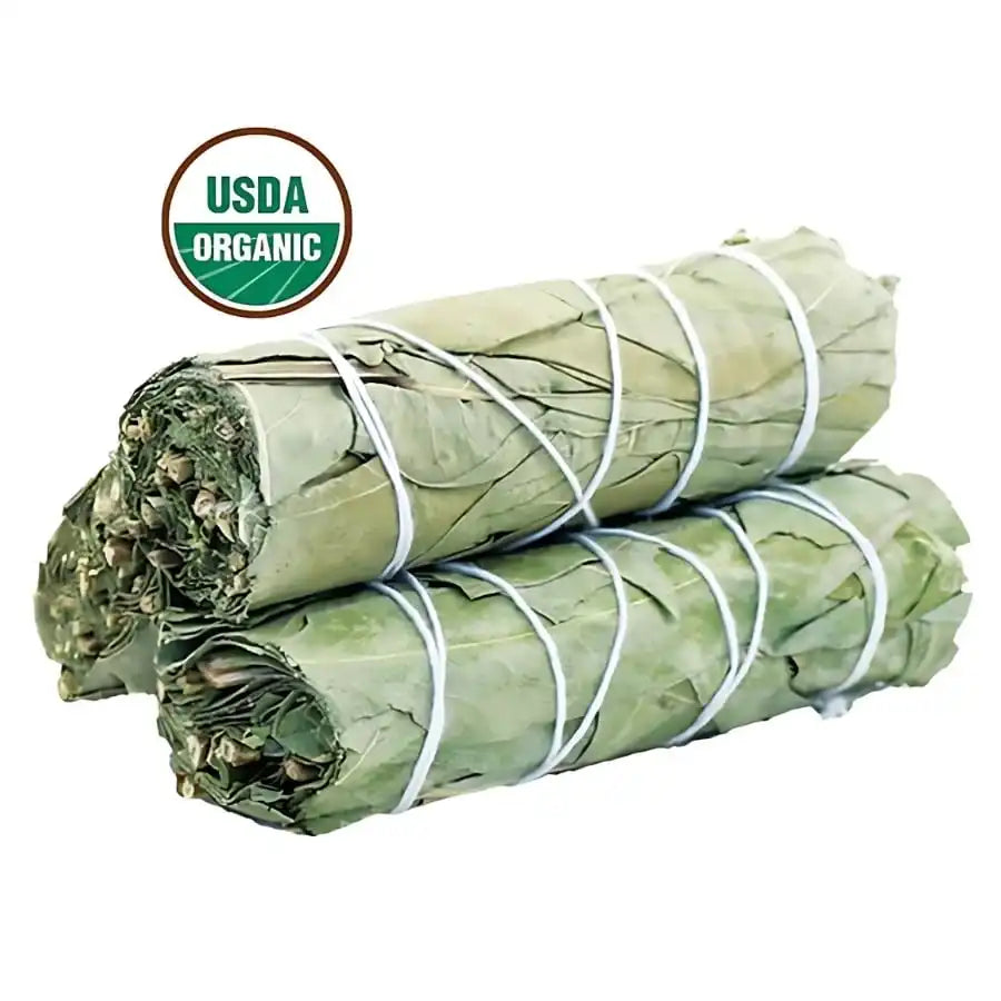 Bâtonnets de Sauge blanche & Eucalyptus