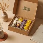 Coffret cadeau Veegreen 4 sauges immortelles séchées jaune, violet, blanc et bourgogne