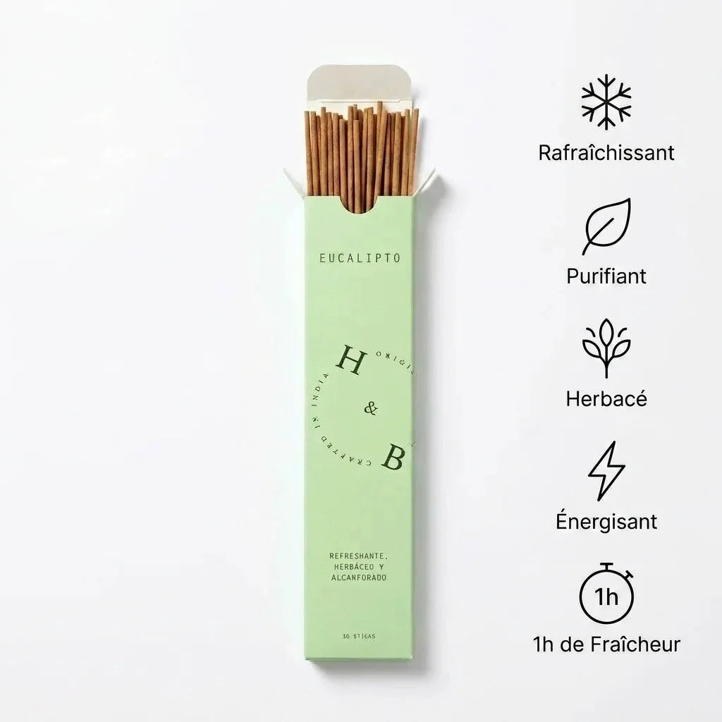 Encens naturel eucalyptus 10 bâtons - Boîte H&B avec bénéfices rafraîchissants et purifiants