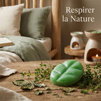 Fondant cire parfumée Patchouli Thym Scentchips sur surface bois avec herbes fraîches