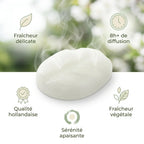 Fondant cire parfumée Thé blanc Scentchips avec bénéfices - diffusion 8h, fraîcheur délicate, qualité hollandaise