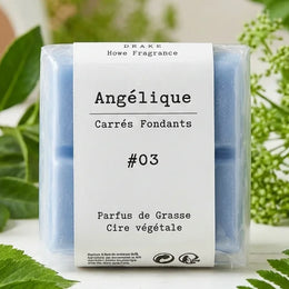 Fondant Parfumé à la cire de colza Angélique Drake