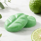 Fondants cire parfumée Bergamote Scentchips sur marbre blanc avec agrumes frais et eucalyptus