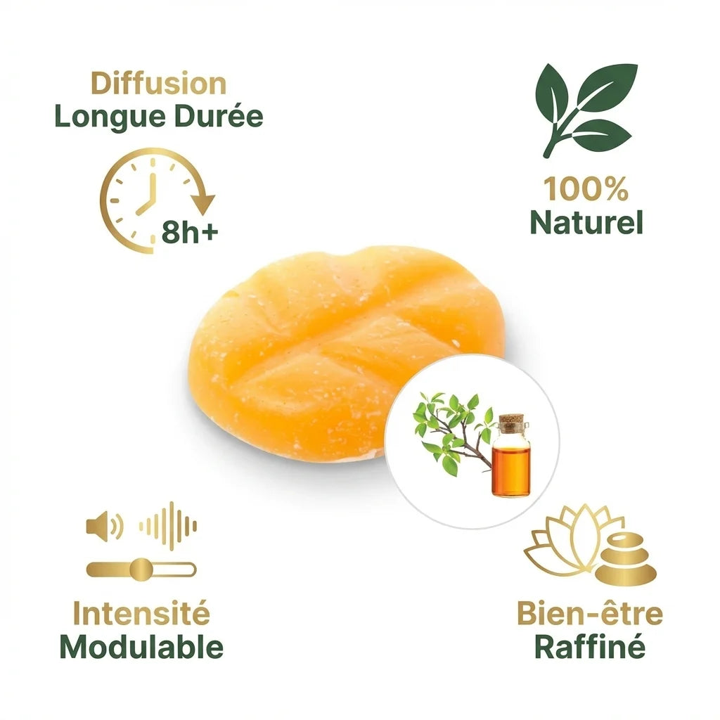Scentchips fondants cire Musc Bois frais avec avantages : diffusion 8h, naturel, intensité modulable