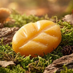 Fondants cire parfumée Scentchips Musc et Bois frais dans décor forêt naturel