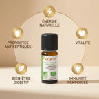 Huile essentielle Bio Clou de Girofle Florame 10ml avec bénéfices santé
