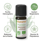 Huile essentielle Bio Eucalyptus Radiata 10ml Florame avec bénéfices respiratoires et purifiants