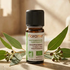 Flacon huile essentielle bio Eucalyptus Radiata Florame 10ml dans décor spa wellness naturel