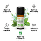 Huile essentielle Bio Gaulthérie Couchée Florame 10ml avec infographie des 5 bénéfaits wellness