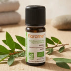 Huile essentielle Bio Niaouli 10ml Florame avec feuilles de niaouli sur surface en bois
