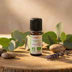 Huile essentielle Bio Niaouli Florame 10ml en flacon ambré sur bois avec feuilles d'eucalyptus