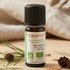 Huile Essentielle Bio Pin Sylvestre 10 ml - Florame