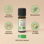 Huile essentielle Bio Romarin Camphre Florame 10ml avec ses bienfaits : tonique musculaire, récupération, énergie