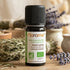 Huile essentielle Bio Romarin à Camphre 10 ml - Florame