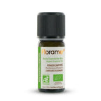 Huile essentielle Bio Romarin à Camphre 10ml Florame bouteille fond blanc