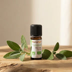 Huile essentielle Bio Sauge Sclarée 5ml Florame sur surface bois avec feuilles de sauge
