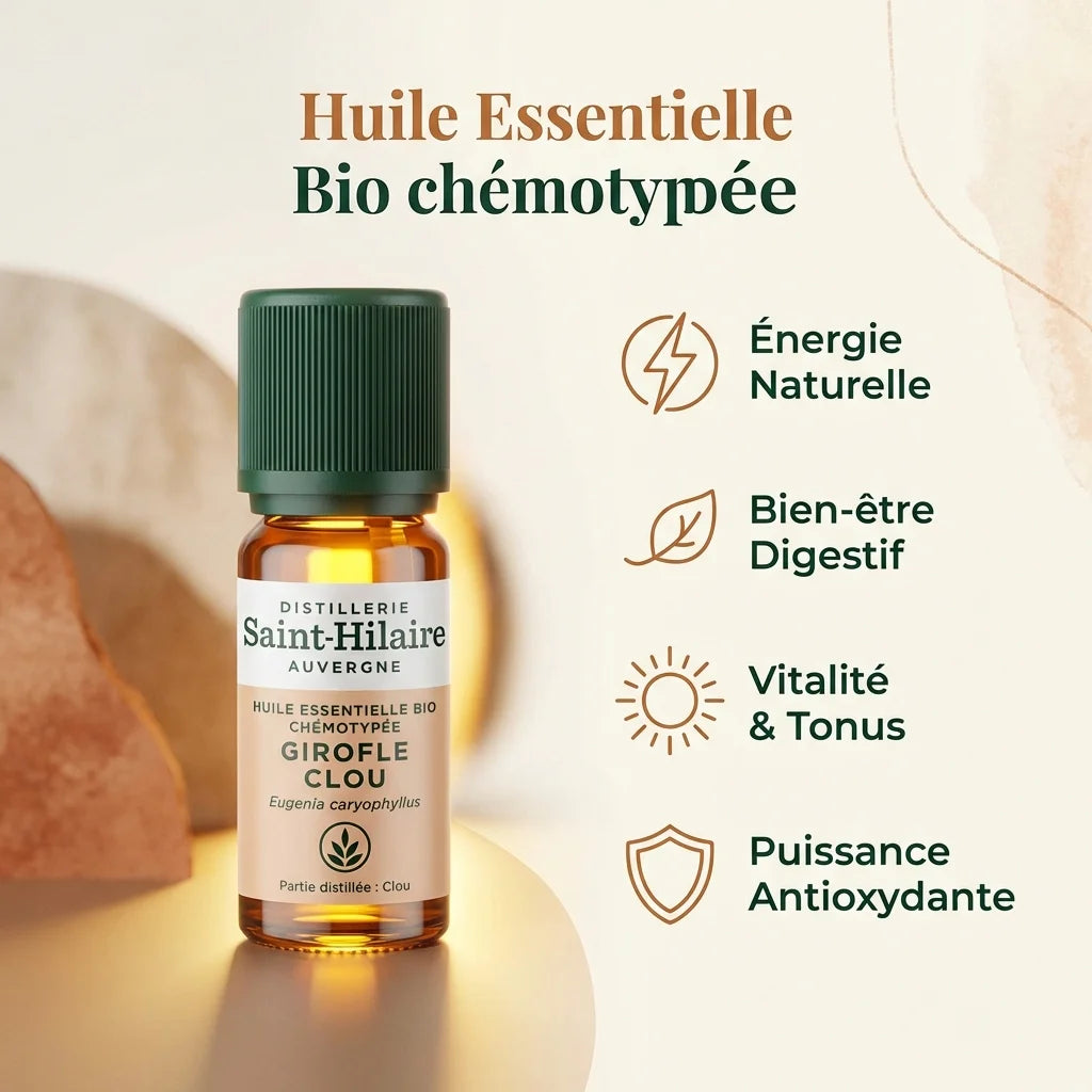 Huile essentielle clou de girofle bio Saint Hilaire 10ml avec bénéfices digestifs et antioxydants
