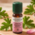 Huile Essentielle de Géranium Rosat Bio 10 ml - Saint Hilaire