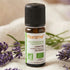 Huile Essentielle de Lavande Fine Bio 10 ml – Florame