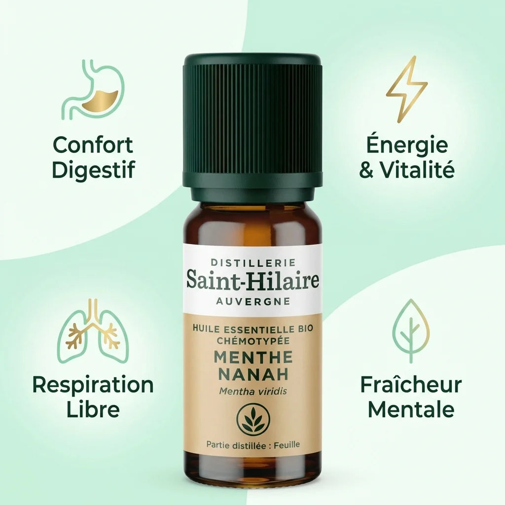 Huile essentielle menthe Nanah Bio 10ml avec bénéfices digestifs, énergie et respiration