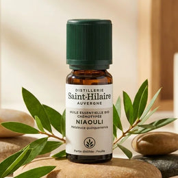 Huile Essentielle de Niaouli Bio 10 ml - Saint Hilaire