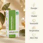 Huile essentielle Ravintsara Bio 10ml Eolesens avec infographie des 5 bénéfaits pour l'immunité et la vitalité