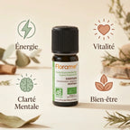 Huile essentielle Ravintsara bio Florame 10ml avec icônes bénéfices énergie vitalité clarté bien-être