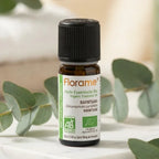 Huile essentielle Ravintsara bio Florame 10ml flacon avec feuilles eucalyptus
