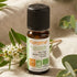 Huile essentielle de Tea Tree Bio et Équitable 10ml - Florame