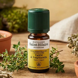 Huile Essentielle de Thym Thuyanol Bio 5ml - Saint-Hilaire