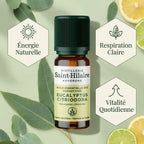 Huile essentielle eucalyptus citronné Bio Saint-Hilaire 10ml avec bénéfices respiration et vitalité
