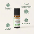 Huile essentielle Eucalyptus Globulus 10ml Florame avec bénéfices énergie et respiratoire
