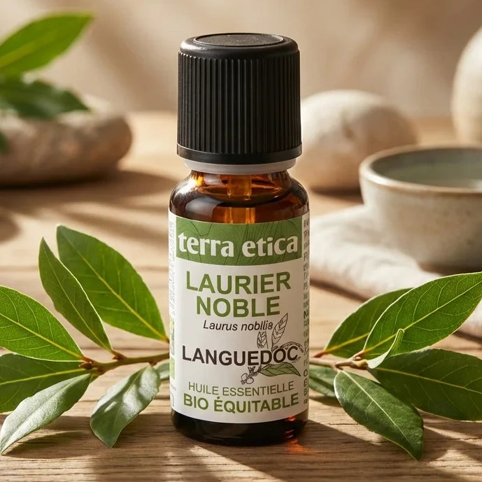 Huile essentielle Laurier Noble Bio Terra Etica 5ml avec feuilles fraîches sur surface naturelle