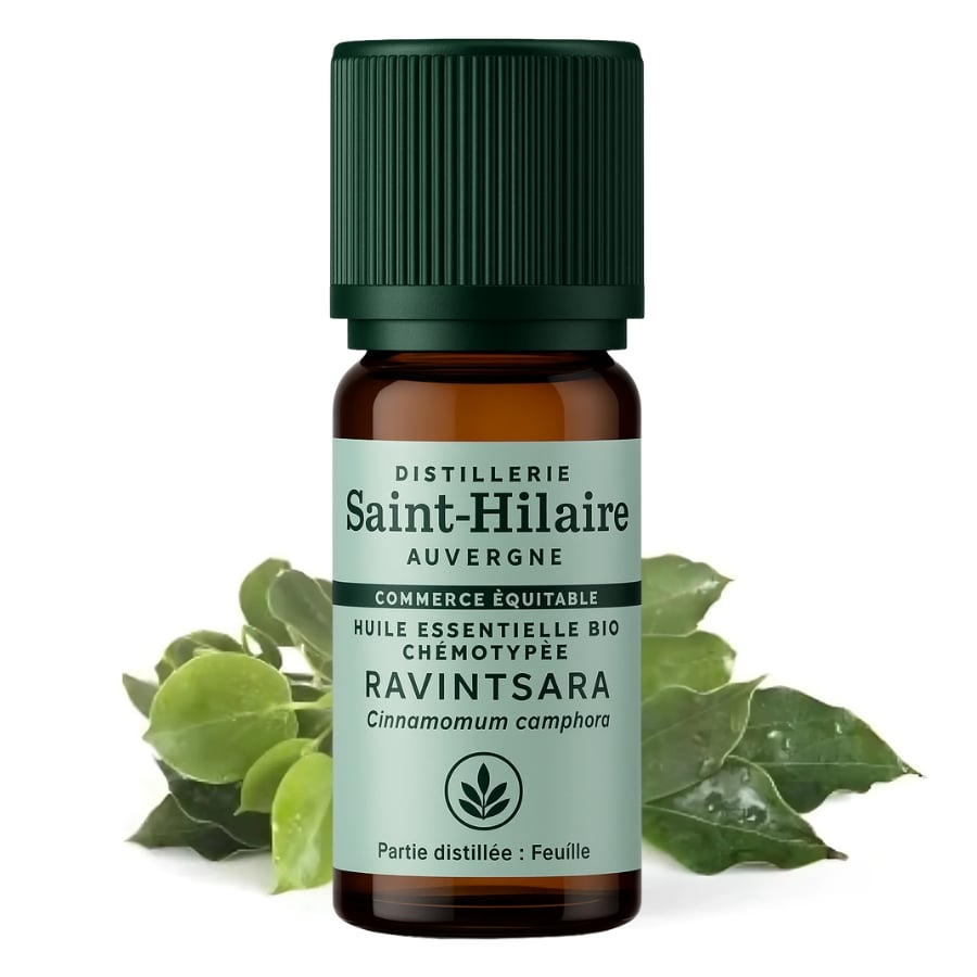 Un flacon de 10 ml d'huile essentielle de ravintsara bio avec des feuilles de la marque saint hilaire