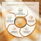 Diffuseur Musc Bois Frais 400ml : infographie wellness avec 5 bénéfaits bien-être et fraîcheur naturelle