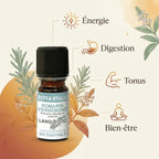 Romarin Verbénone Bio Terra Etica 5ml avec icônes bénéfices digestion, tonus et énergie