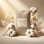 Sachet senteur Fleur de Coton parfum naturel Grasse entouré fleurs coton séchées
