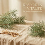 Spray ambiance pin vétiver naturel avec branches de sapin et racines de vétiver sur lin beige