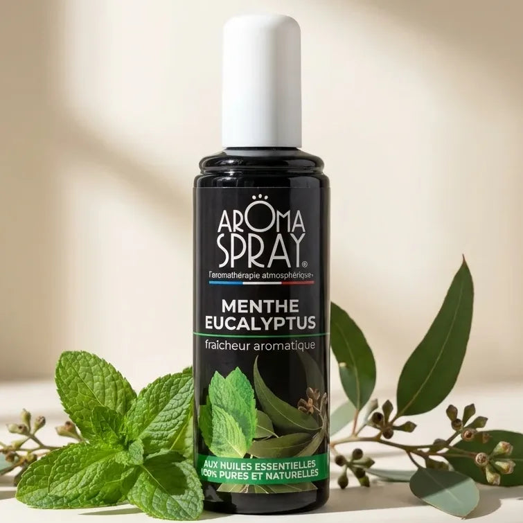 Spray Ambiant Eucalyptus Menthe 100ml Aromaspray avec feuilles de menthe fraîche et branches d'eucalyptus