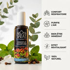 Spray d'ambiance Girofle Camphre 100ml avec ses bénéfices : confort respiratoire, purifie l'air et bien-être naturel
